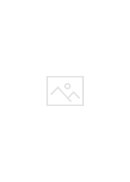 Python编程基础